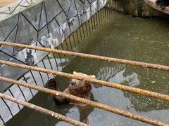 -贵州森林野生动物园
