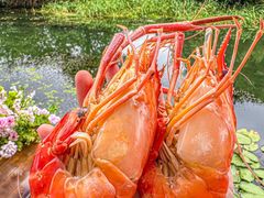 -欢乐蟹庄·精品农家乐(阳澄湖莲花岛店)