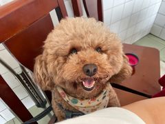 -温江公平红烧兔(总店)