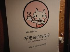 -猫猫幼稚园·撸猫·桌游·电玩