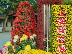 -上海共青森林公园