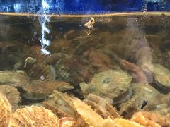 -沿海渔家院海鲜烧烤·东北菜(东戴河店)