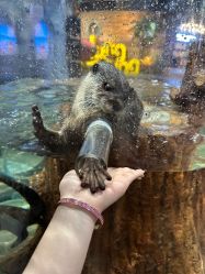 -Zoolung Zoolung动物主题公园(海信广场店)