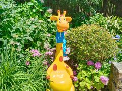 -上海共青森林公园