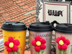 -莓超疯(百源店)