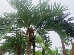 -千龙湖生态旅游度假区