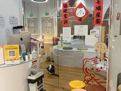 -COLOR PETS 撸猫馆·购猫·猫咖(长风大悦城店)