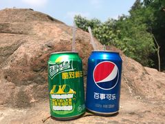 -铁山坪森林公园