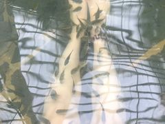 -龙达温泉生态城