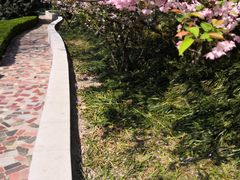 -环城公园-琥珀潭