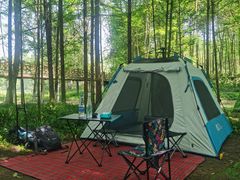 -桤木河湿地公园