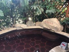 -郑州银基黄帝宫御温泉