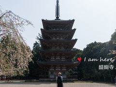 五重塔-醍醐寺