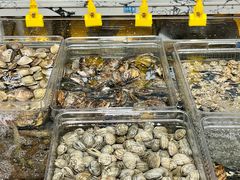 -张家卫·阳江菜·小海鲜(肥婆湾桥店)