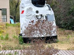 -广富林郊野公园