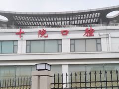 -上海市第十人民医院(总院)