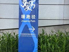 -华润深圳湾体育中心-“春茧” 体育馆