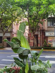 -上海市儿童医院(北京西路院区)