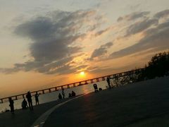 -宝安西湾红树林湿地公园