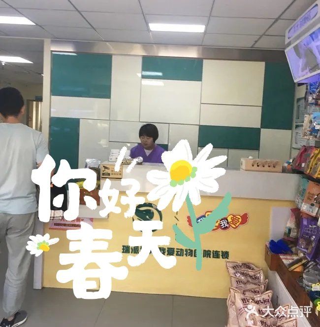 新手宠物爸妈必看👀