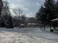 -横道河子东北虎林园