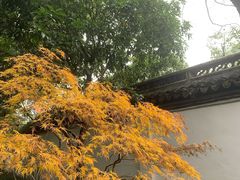 -秋霞圃