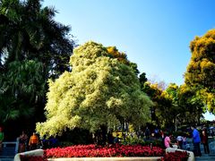 -深圳国际园林花卉博览园