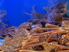 -阿伟海鲜楼·福建菜(延寿店)