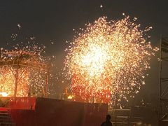 -武汉园博园(武汉自然博物馆)