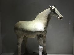 -宁夏博物馆