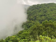 -梧桐山风景名胜区