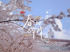 -南京外国语学校(仙林分校西区)