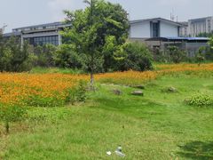 -瑶湖郊野森林公园