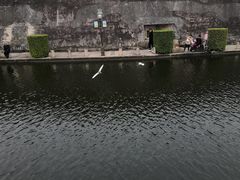 -石炮台公园