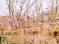 -西湖风景区-江洋畈生态公园