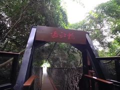 -亚龙湾热带天堂森林公园