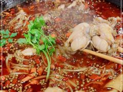 -鸿顺老铁锅美蛙鱼府(解放碑店)