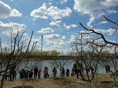 -永定河休闲森林公园