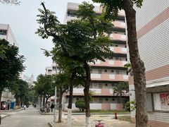 -集美学村