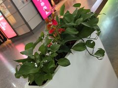 -麦当劳(上海虹桥站30B检票口楼上)