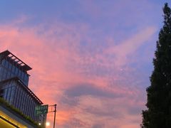 -浙江工业大学（朝晖校区）-游泳馆