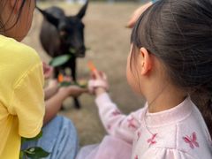 -东南花都花博园
