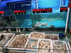 水产区-捞围鲜·港式打边炉(海阳路店)