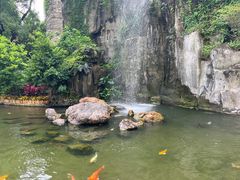 -广州花园酒店