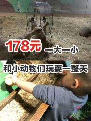 -七巧国萌宠乐园(龙湖天街店)