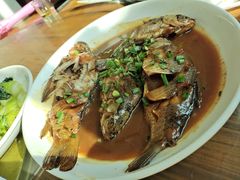 -宾湖农庄·农场特色(太湖龙之梦店)