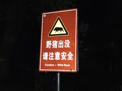 -紫金山山顶公园