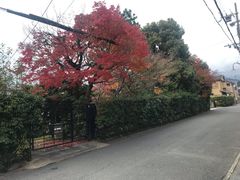 -岚山嵯峨野观光小火车
