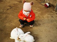 -前小桔亲子创意农场·草莓采摘·露营烧烤