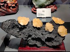 -湖南省地质博物馆
